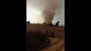 Sand Bawander In Thar Desert Rajasthan