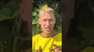 Липовый мёд может быть только 1 цвета ?
