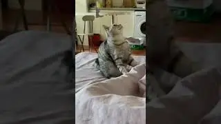 jogetin dulu