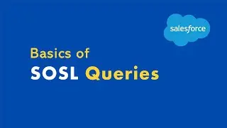 SOSL(Search Language) | Apex Basics E15