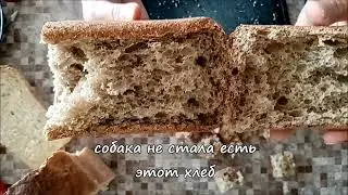 Современный хлеб хуже хлеба из СССР
