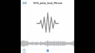 1010_peno_loud_PN