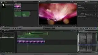 Final Cut Pro X | Creating an intro