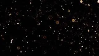 Denace - I Wish (Sample) ALBUM COMING, A GIFT AND A CURSE 2