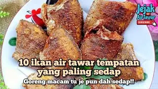10 ikan air tawar Malaysia paling sedap