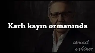 Karlı Kayın Ormanında Zülfü Livaneli (Lyrics)