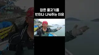 정 많은 섬마을 사람들 #shorts