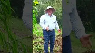 Elimina todas las MALEZAS CON ARADO