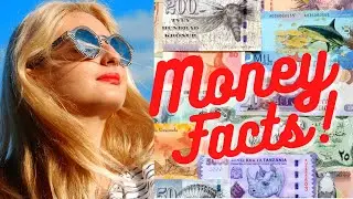 Random Fun Facts | Money Facts | Episode 8 | #funfacts #didyouknow #amazingfacts #facts #moneyfacts