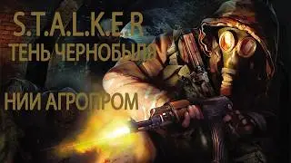 МЕСИЛОВО НА АГРОПРОМЕ И НОВАЯ ГРУППИРОВКА-STALKER тень чернобыля
