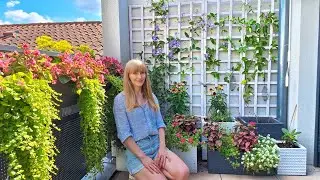 Sunny Balcony Garden Tour, Project Updates & Planting Some New Flowers