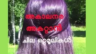 അകാലനര അകറ്റാൻ ചില ഒറ്റമൂലികൾ Home Remedies for Premature Graying of Hair