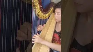 Messing around with the FF4 Town Theme on harp ❤️ 