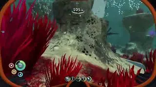 Subnautica - Part 4: Sunbeam Responds