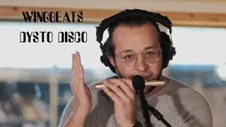 Wingbeats - Dysto Disco - Live at Blank Studios