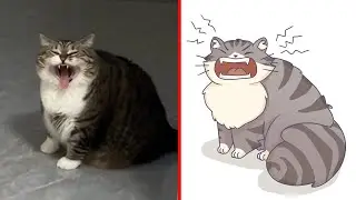 When your cat thinks he's a big horn