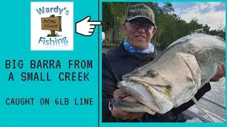 Weipa Barra on 6lb line.