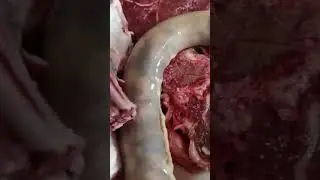 Бесбармак или Пять пальцев Вкусно!!!