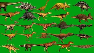 Dinosaurus Line Running and Walking Green Screen HD Dinosaurus Green Screen Video