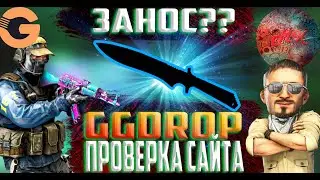 Реальные шансы сайта GGDROP I Окупит или нет?