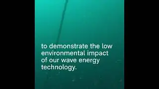 CorPower Ocean and WavEC Offshore Renewables report on Environmental Monitoring Program.