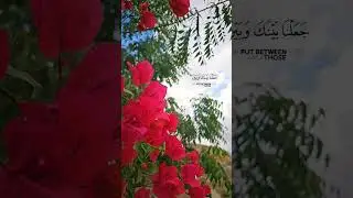 تلاوة قصيرة.. #تلاوة #قرآن #القرآن