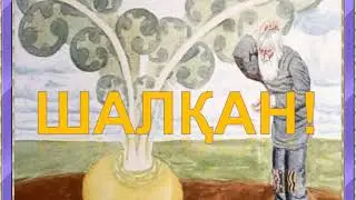 Шалқан!