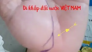 Xem chỉ tay- bàn tay đi khắp đất  nước VIỆT NAM