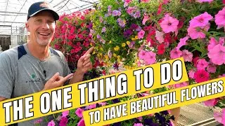 The ONE Thing to Do to Have BEAUTIFUL Flowers this Year