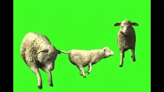 Green screen bear sheep cartoon make movies and stories no copyright