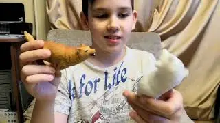 Снежные ХИЩНИКИ и Ко 3 Распаковка Новые игрушки!