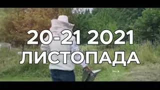 8-ма Європейська Конференція BEECOME 2021 - ONLINE