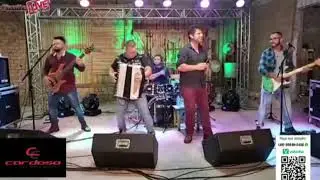 Pau que dá Cavaco