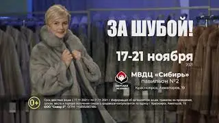 Красноярск 17 21 ноября 5 сек Норка SD 16x9