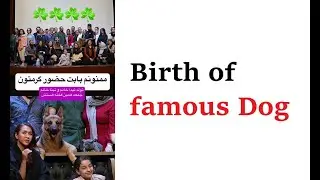 The birth of a famous dog El nacimiento de un perro famoso dog party birth party dog party birthday