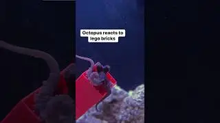She pulls them apart so fast! 