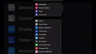 Accessibility Features on Your Phone for MS