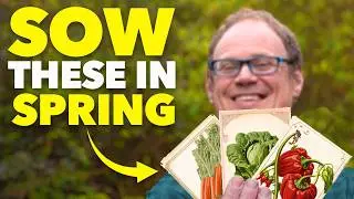 Don't Miss Out: Sow These Seeds in April