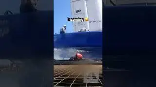What would you do in this situation? 😅 #SailGP #sailing #racing #crash