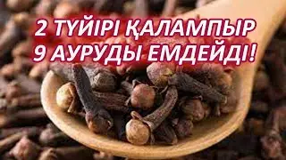 ЕКІ ҮШ ТҮЙІРІНІҢ ӨЗІ БҮКІЛ АҒЗАНЫ ЖУЫП ШАЯДЫ, Қайнатып ішіңіз, Керек арнасы