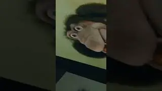 Чебуратор.ехе