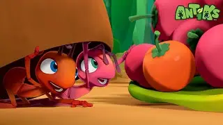 The Great Berry Rescue | Antiks 🐜 | Funny Cartoons for Kids