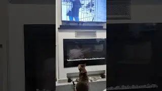 котя ТВ 