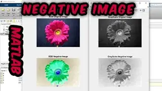How to take Negative of Image in  MATLAB | Point Processsing | Digital Image Processing