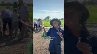 Come To The Farm With Us! #farming #bayarea #volunteer #tiktok #shorts #nonprofit #bayareanonprofit