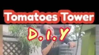Tomatoes Tower ( #kebunmagika )