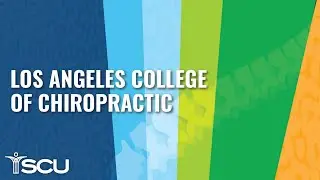 Doctor of Chiropractic Program