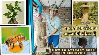How to attract bees to new beehive / मधुमक्खीयां  बॉक्स में अपने आप आ जाएगी #viralvideo