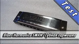 Sound Test Swan Harmonica AliExpress / Тест губная гармошка из Китая АлиЭкспресс