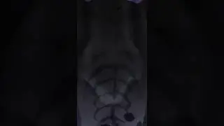 #аниме